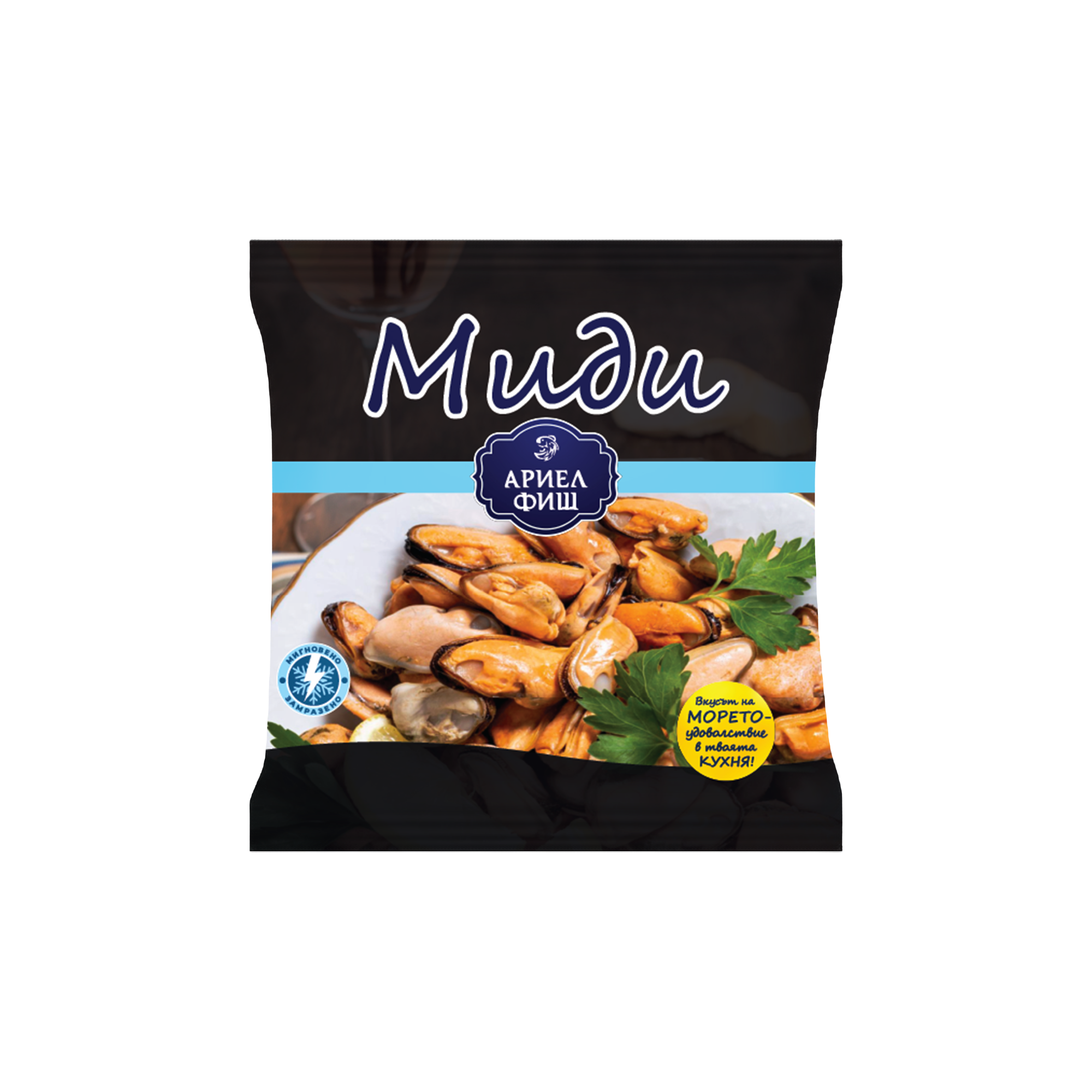 midi.PNG